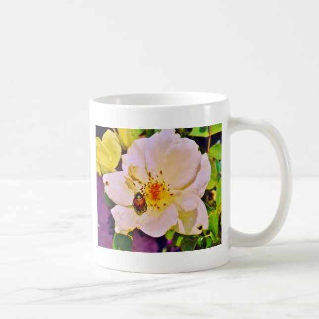 Taza De Café Escarabajo japonés sobre rosa blanco (Derecha)