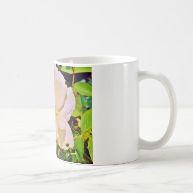 Taza De Café Escarabajo japonés sobre rosa blanco (Derecha)