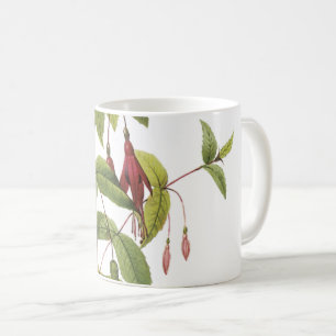 Taza De Café escarlata fuchsia (Fuchsia coccinea) de Redouté