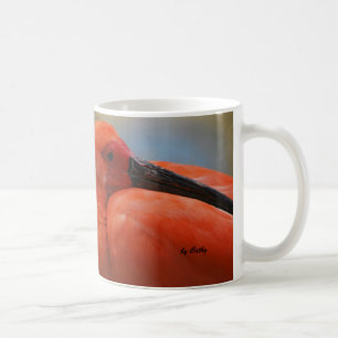 Taza De Café Escarlata Ibis