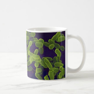 Taza de café - Escherichia Coli