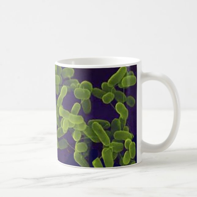 Taza de café - Escherichia Coli (Derecha)