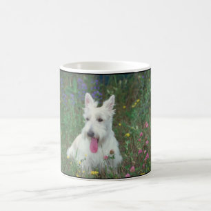 Taza De Café Escocés Terrier de Wheaton