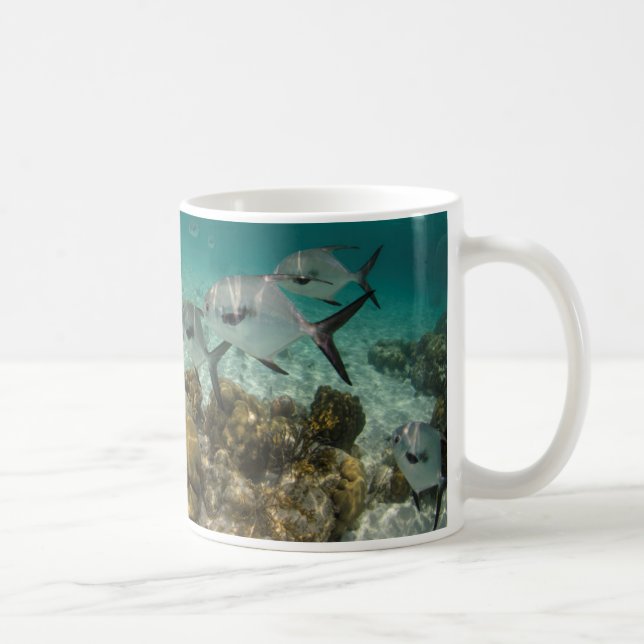 Taza De Café Escuela de peces permitidos (Derecha)