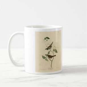 Taza De Café Espadrillo glaseado, pájaros de América de Audubon