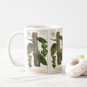 Taza De Café Especias de hierbas aromáticas, planta de pimienta
