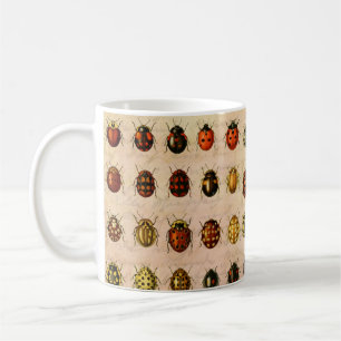 Taza De Café Espécimen Patrón de Mariquita Vintage Insecto Anti