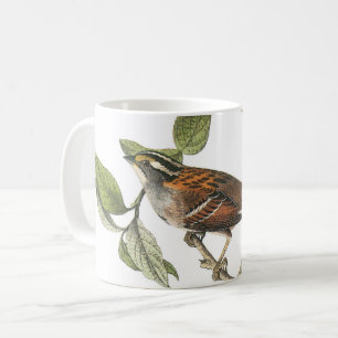 Taza De Café Espinazo de garra blanca por Audubon