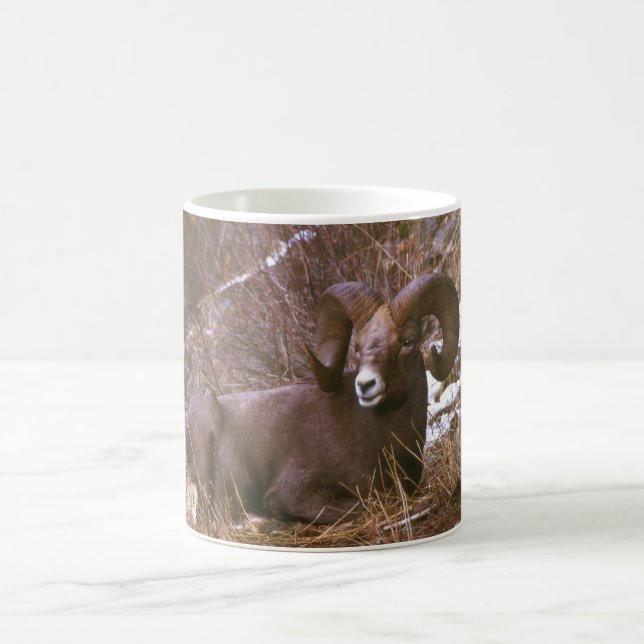 Taza De Café Espolón de reclinación (Centro)