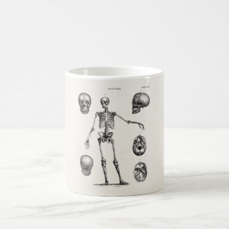 Taza De Café Esqueletos antiguos de la anatomía de los esquelet