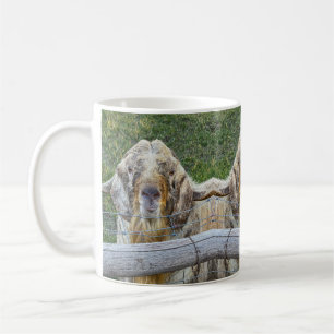 Taza De Café Esta cabra de granja amigable te está mirando.