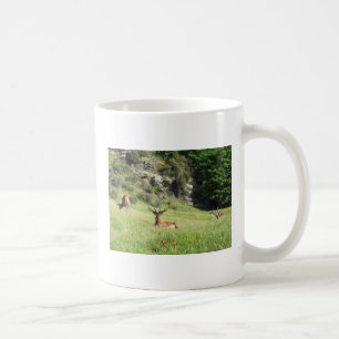 Taza De Café Estadios de Nueva Zelanda