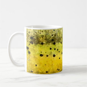 Taza De Café Estampado de piel de pez Mahi Mahi