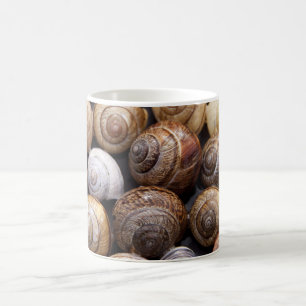 Taza De Café Estanques de caracol