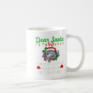 Taza De Café Estimado Papá Noel Antes De Explicar Cuánto Sabes