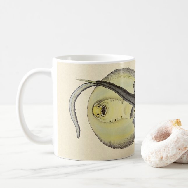 Taza De Café Estingrays vitícolas, animales marinos oceánicos (Con donut)