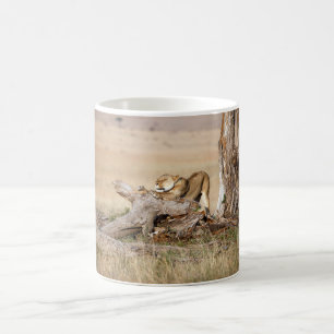 Taza De Café Estiramiento de la leona