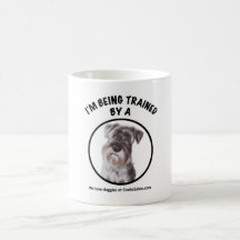 Estoy siendo entrenado por una mug Schnauzer