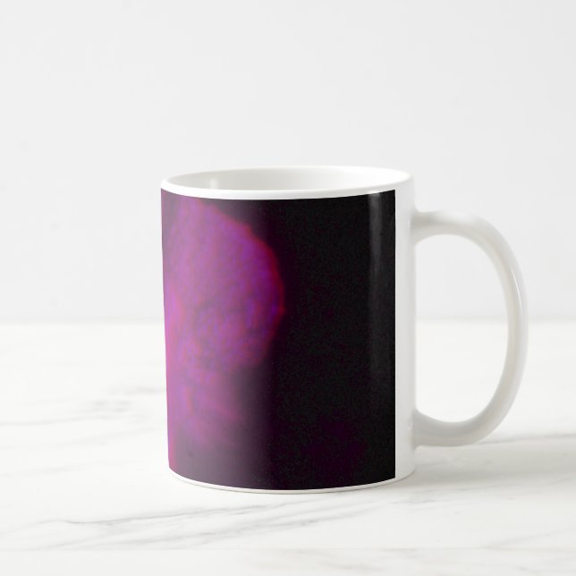 Taza De Café Estrella Eta Carinae explosiva, vista en tres dime (Derecha)