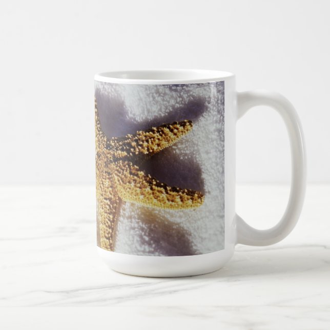 Taza De Café Estrellas de mar en una toalla (Derecha)