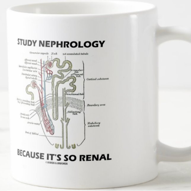 Taza De Café Estudiar la nefrología porque es tan renal (Nephrologists will enjoy this medical truism advice mug featuring a kidney's nephron)