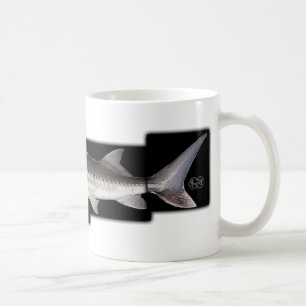 Taza De Café Esturión blanco - transmontanus del Acipenser