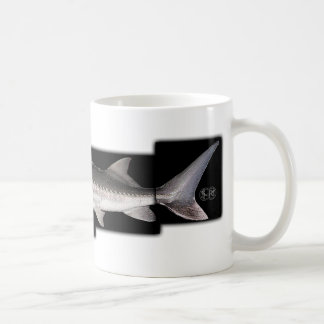 Taza De Café Esturión blanco - transmontanus del Acipenser