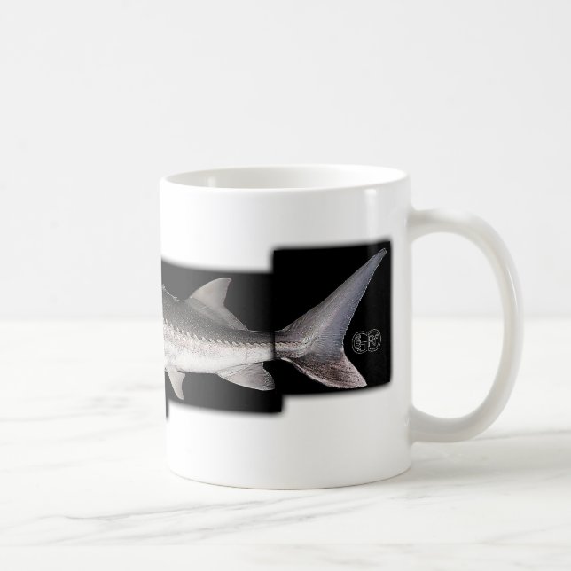 Taza De Café Esturión blanco - transmontanus del Acipenser (Derecha)