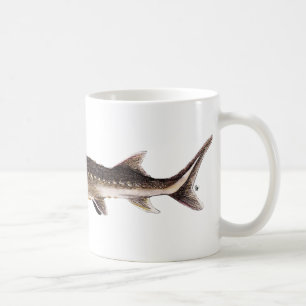 Taza De Café Esturión de Shortnose - brevirostrum del Acipense