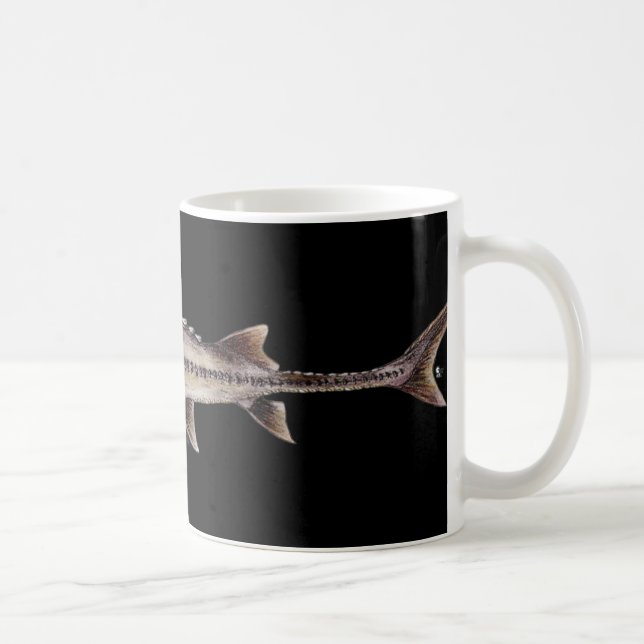 Taza De Café Esturión pálido - albus de Scaphirhynchus (Derecha)
