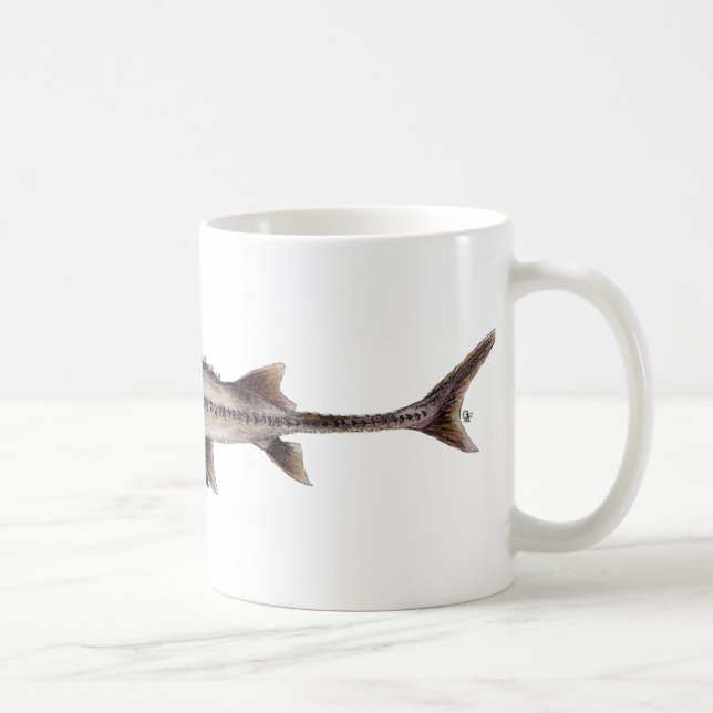 Taza De Café Esturión pálido - albus de Scaphirhynchus (Derecha)