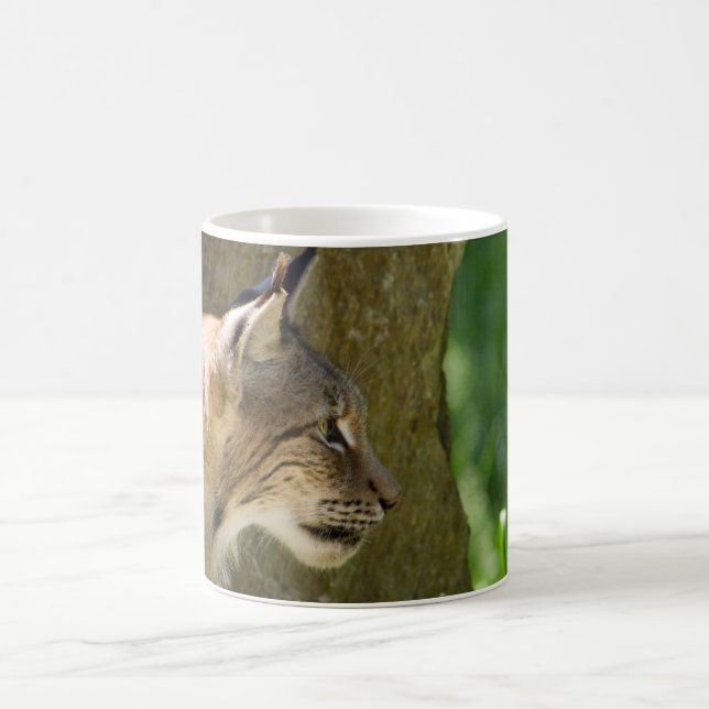 Taza De Café Eurasian Lynx (Centro)