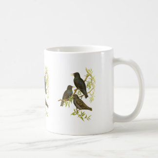 Taza De Café Europeo Starling