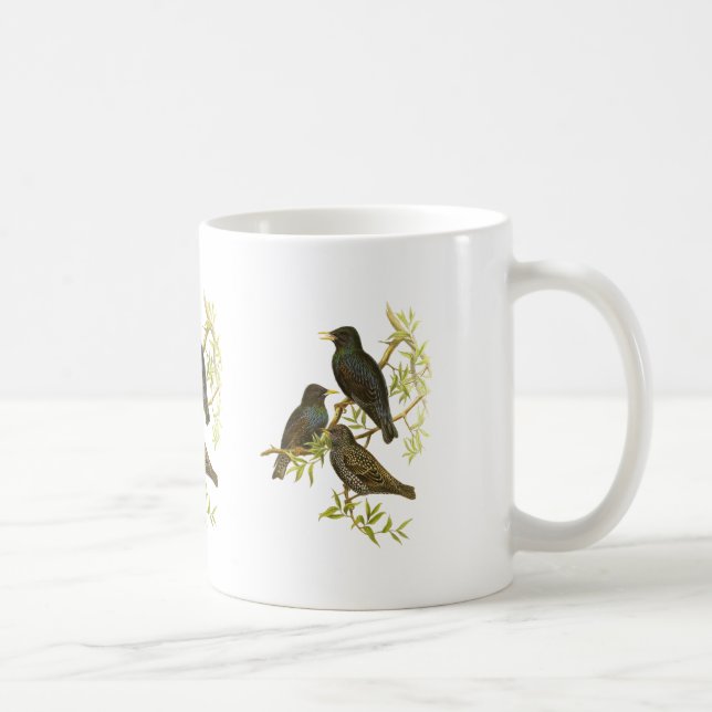 Taza De Café Europeo Starling (Derecha)