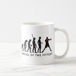 Taza De Café evolution boxing