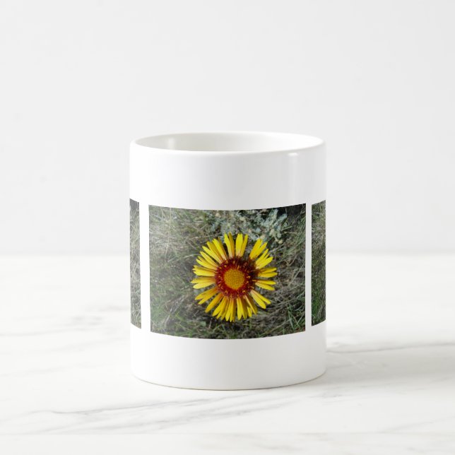 Taza De Café F1 Flor silvestre amarilla Gaillardia (Centro)