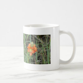 Taza De Café F40 Flores Silvestres Naranjas Malva Escarlata