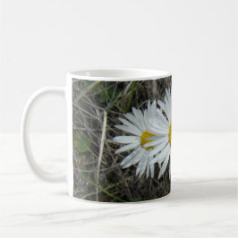 Taza De Café F42 Flores Silvestres Blancas Aster Suave