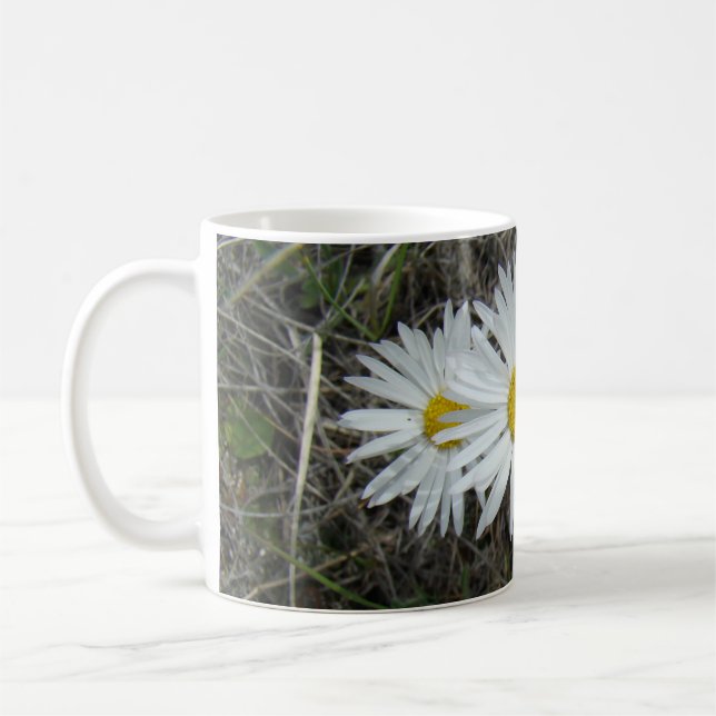 Taza De Café F42 Flores Silvestres Blancas Aster Suave (Izquierda)
