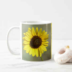 Taza De Café F47 Flor silvestre amarilla Frecuente Girasol anua