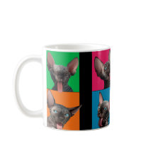 Facebuilding (gatito de Sphynx)