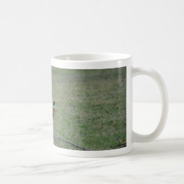 Taza De Café Faisán