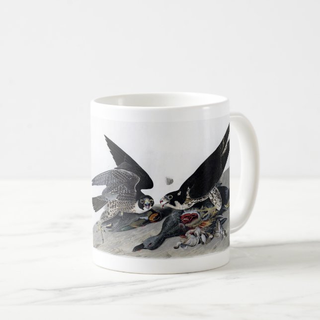 Taza De Café Falcon , 隼 (Anverso derecho)