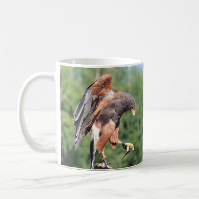 Taza De Café Falconry, Jsed Harris Hawk (Izquierda)