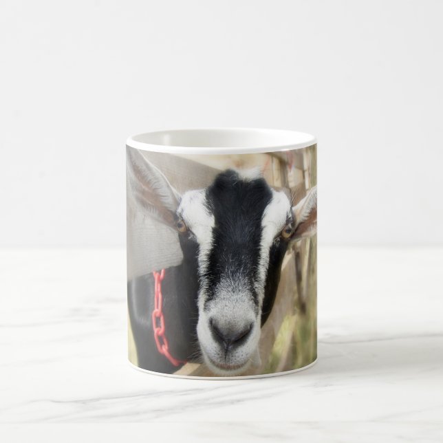 Taza De Café Fall Fair Billy Goat (Centro)