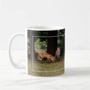 Taza De Café Familia Fox sacando café de la frontera blanca