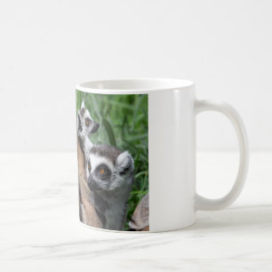 Taza De Café Familia Lemur