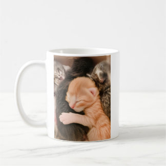 Taza De Café Family Is Everything, Kitten Coffee Mug