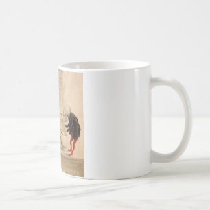 Taza De Café Farmacia esquelética