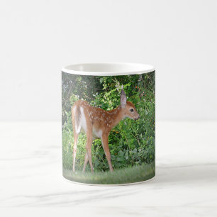 Taza De Café Fawn Por La Mug De Woods